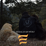 The Himalayan Wolf