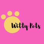 Witty Pets