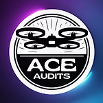 ACE AUDITS