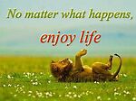 Life enjoy