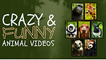 Laugh Safari: Hilarious Animal Antics Unleashed!
