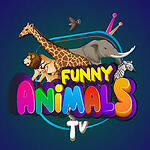 Funny animals Video