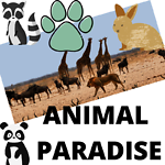 ANIMAL PARADISE