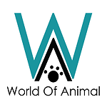 World Of Animals