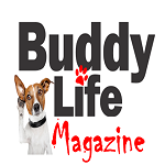 India's Top Dog Magazine