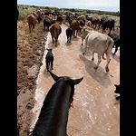 Painted Desert Ranch