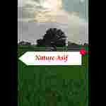 NatureAsif