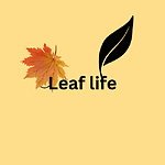 Discover the Beauty of Natural Life | Peaceful Village Living & Organic Lifestyle