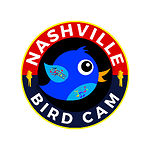 Nashville Bird Cam