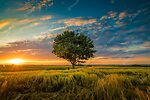 Nature lovers