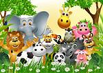 Animals lover Funny animals.Animals lover. Funny animals,Funny dog,funny cat,funny caw,funny got,funny monkey,funny horse,funny Birds,funny zebra,funny panda,funny lion,funny tiger,funny elephant