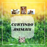 CURTINDO ANIMAIS