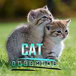 CatsGrooming