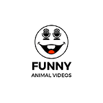 Funny Animal videos