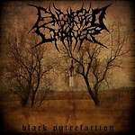 Engorged Cadaver