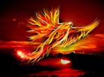 Phoenix Rising