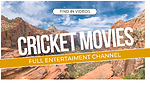 VideosMoviesCricket