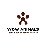 Wow Animals