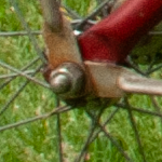 Old Spokes