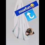 Moefun