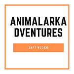 AnimalArkAdventures: Unleashing the Wonders of the Wild