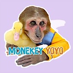 Monkey YoYo