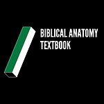 The Biblical Anatomy Textbook