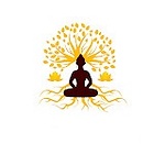 Lotus & Light