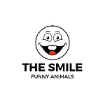 TheSmileChannel