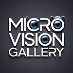 Micro Vision Gallery