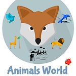 world of animals