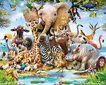 S animal's
