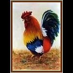 City Rooster