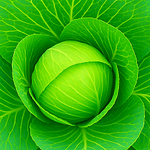 Vườn rau nhà Linh - Linh's vegetable garden