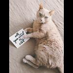 Animal Lovers Pet Channel
