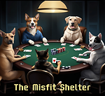 The Misfit Shelter