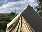 In a Yurt With Books