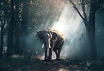 Animal Lover