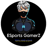 esportsgamerz390