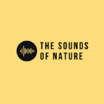 The Sounds Of Nature