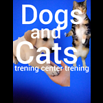 Dog and Cat Learning Video .How to train a dog cat and how to eat Videos are made about eating and learning