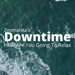 Zoomalata Downtime